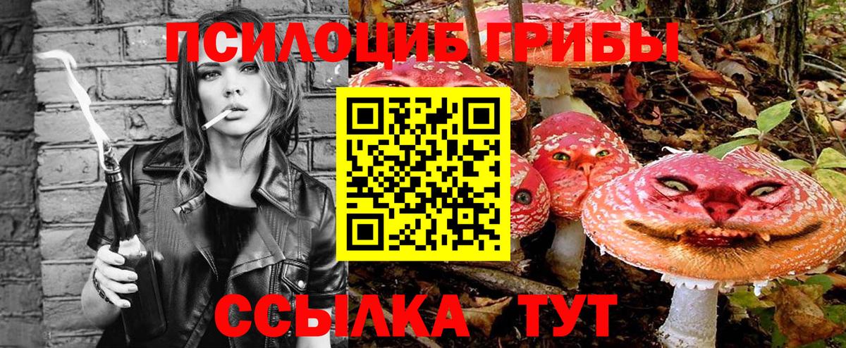Псилоцибиновые грибы Psilocybine cubensis Владивосток