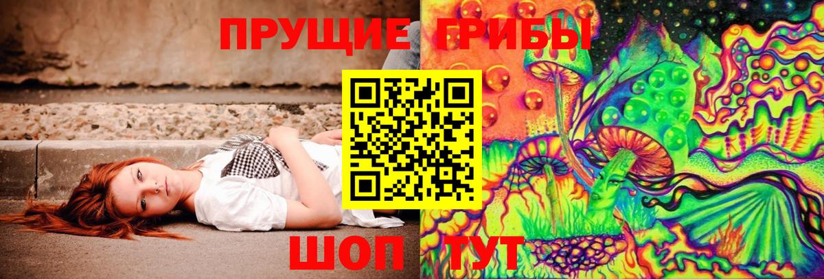 Псилоцибиновые грибы Cubensis  Вход с VPN  Владивосток 